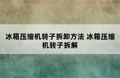 冰箱压缩机转子拆卸方法 冰箱压缩机转子拆解